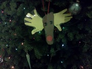 12th Dec 2011 - Reindeer memories