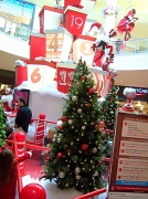 10th Dec 2011 - Christmas display