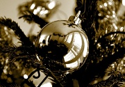 13th Dec 2011 - Christmas past