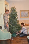 28th Nov 2011 - clark, that there's a REAL TREE.
