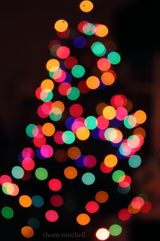 Bokeh Christmas tree by rhoing