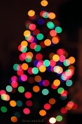 12th Dec 2011 - Bokeh Christmas tree