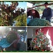 AT THE CHRISTMAS TREE FARM by bruni