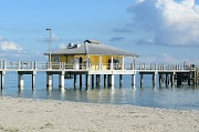 12th Dec 2011 - Fort de Soto beach, Pinellas county, Florida 