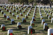 10th Dec 2011 - Christmas Wreaths at Arlington