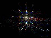 14th Dec 2011 - Azalea park lights