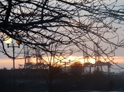 3rd Feb 2011 - Sun setting over the cranes