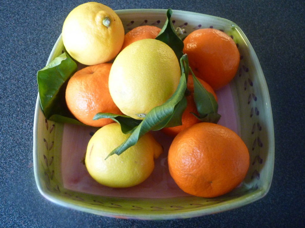 Oranges and Lemons by lellie