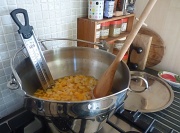 8th Feb 2011 - Making dried apricot jam