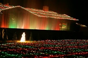 14th Dec 2011 - Christmas Lights