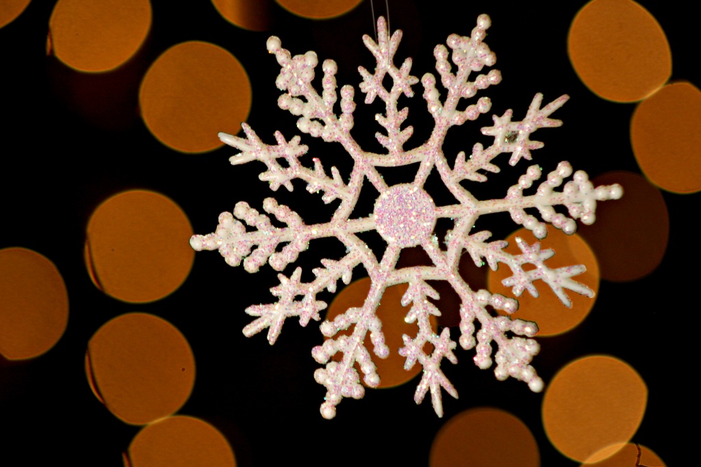 Snowflake Departure by lauriehiggins