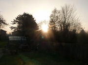 2nd Mar 2011 - Sunset in my garden