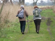 13th Mar 2011 - Country walk