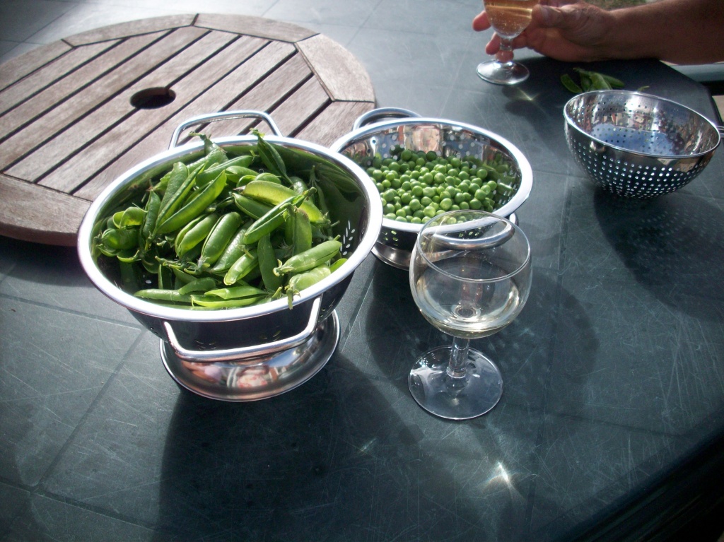 Fresh Peas and Cab Sav by lellie