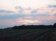 19th Aug 2011 - Sunset over Trimley