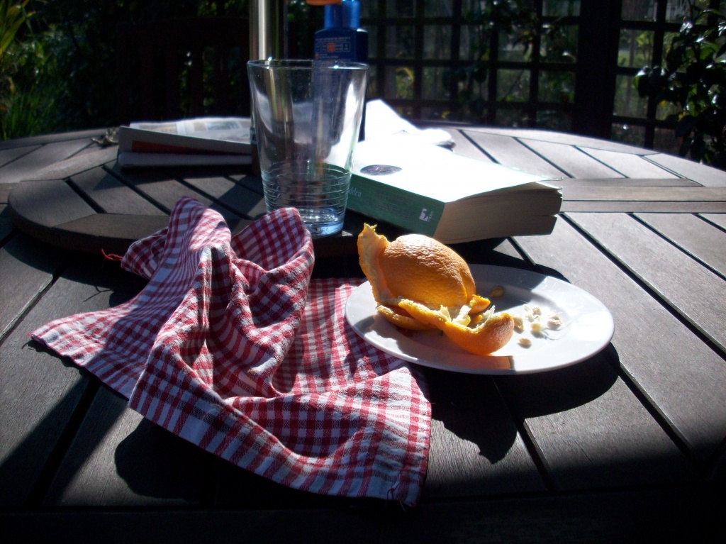 Lunch in the garden by lellie