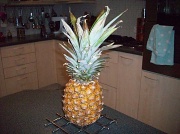 12th Oct 2011 - Pineapple