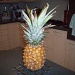 Pineapple by lellie