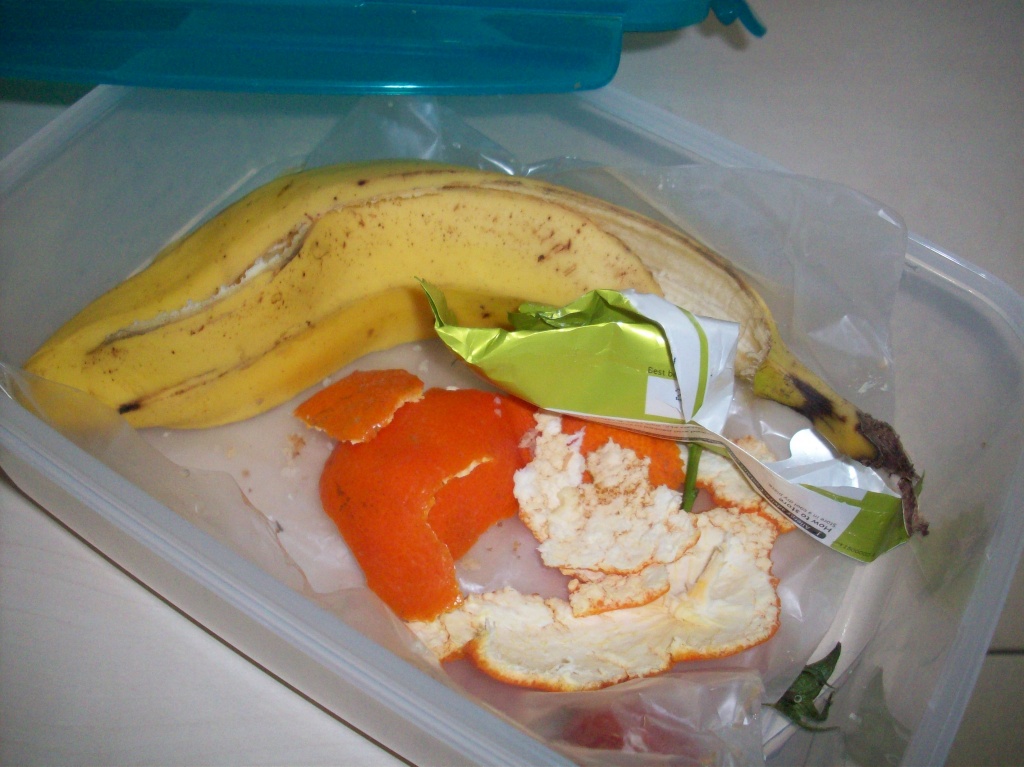 Lunch box by lellie