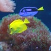 Dory and friend by stcyr1up