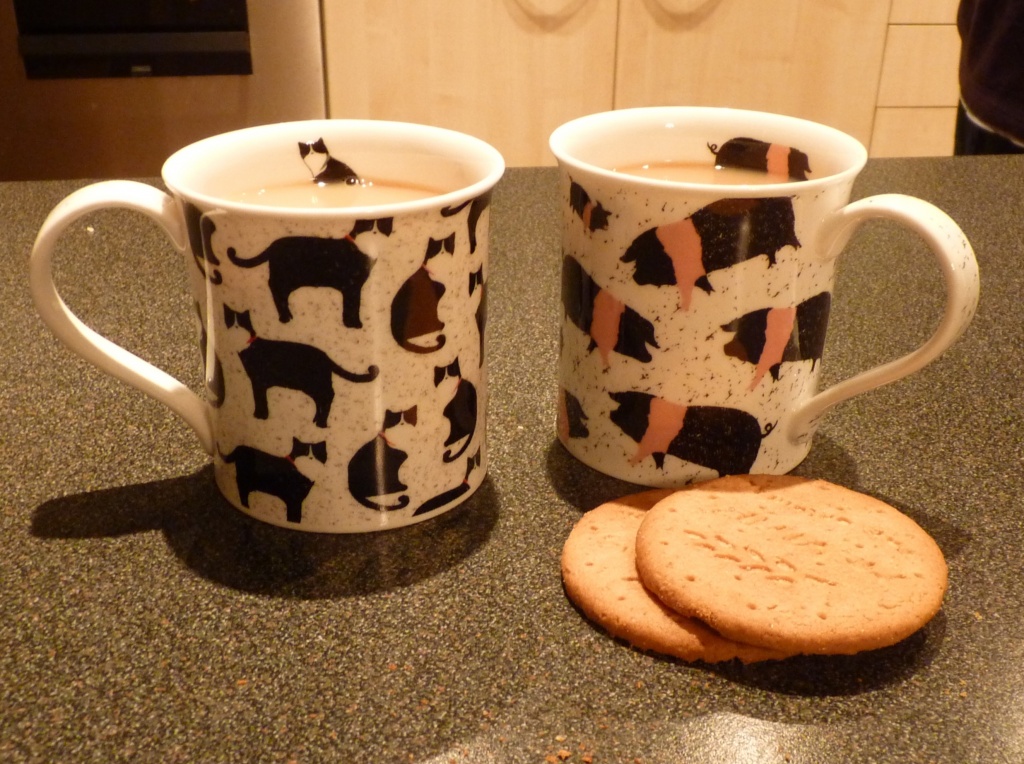 Tea and biscuits by lellie