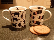 14th Apr 2011 - Tea and biscuits