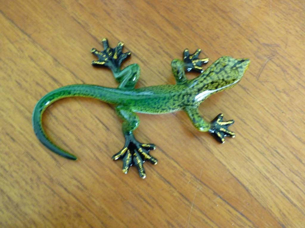 Lizard by lellie