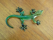 12th May 2011 - Lizard