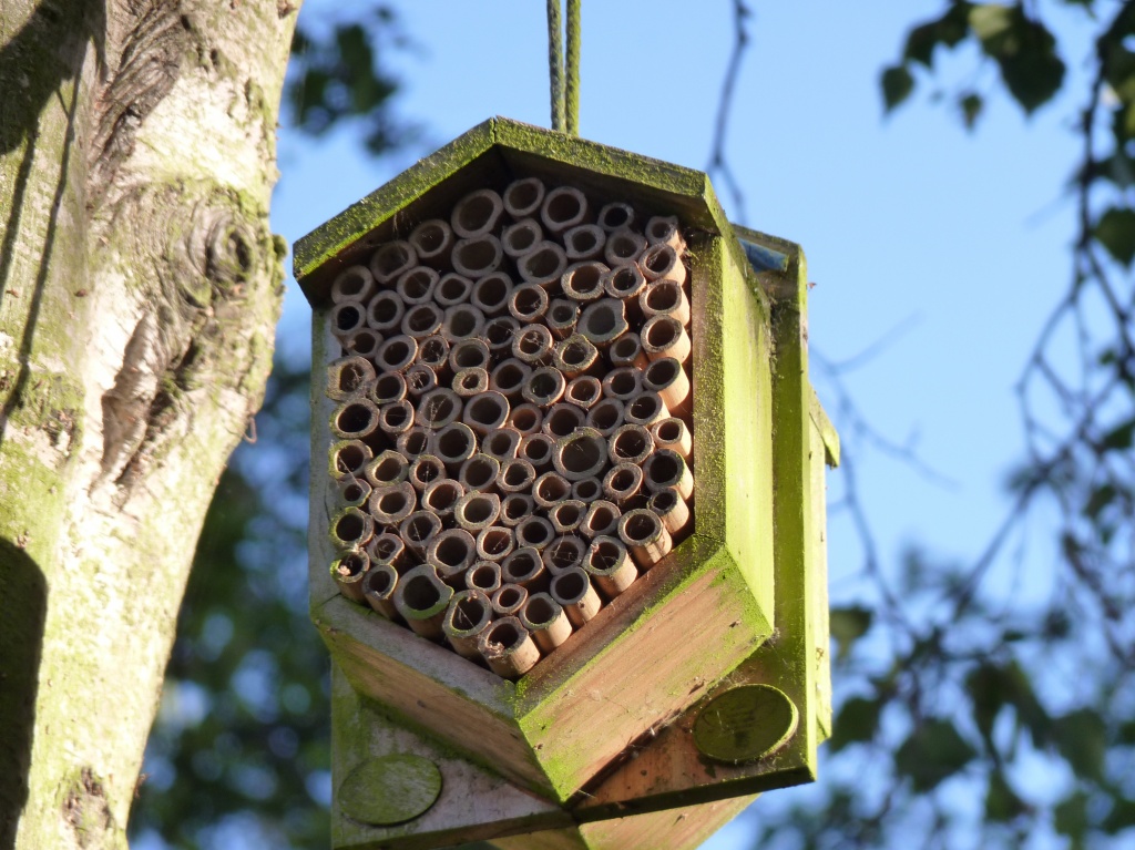 Bee Box by lellie