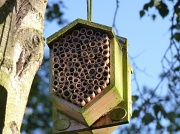 22nd May 2011 - Bee Box