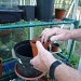 Potting Up by lellie