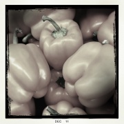 15th Dec 2011 - Peppers