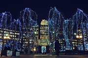 15th Dec 2011 - Tree Lights