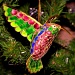 Humming bird on the Christmas Tree by judithdeacon