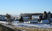 16th Dec 2011 - Winter farm