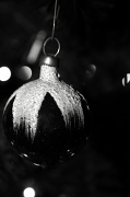 16th Dec 2011 - Black & White Bokeh