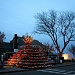 Lobster Trap Christmas Tree by lauriehiggins