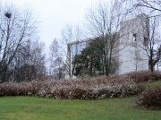15th Dec 2011 - Snowberries in front of Kerava Church IMG_1594