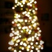 Christmas Tree by lisaconrad