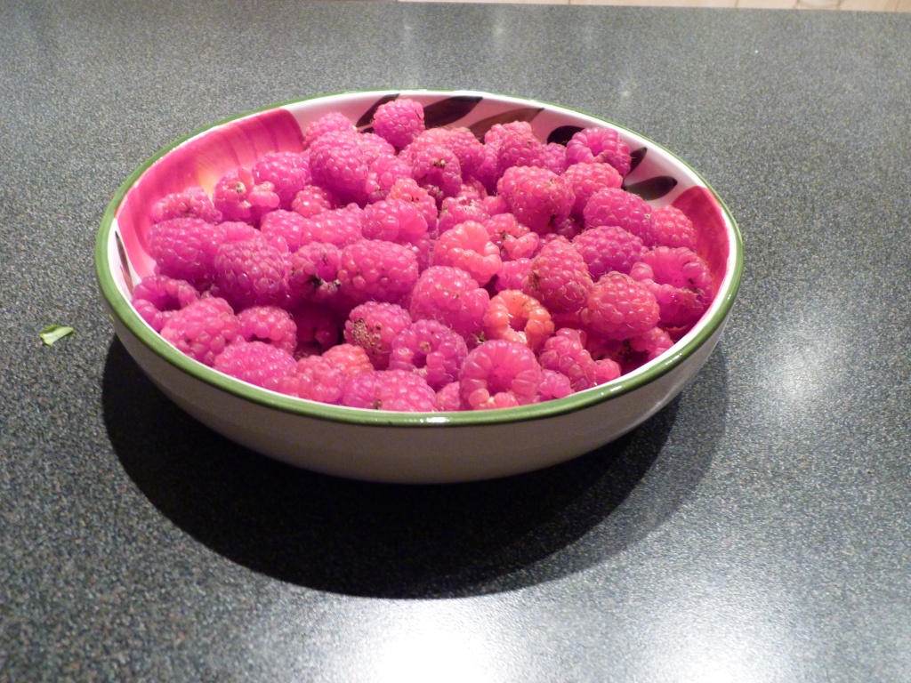 Raspberries from the garden by lellie