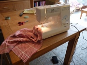 21st Jul 2011 - Sewing