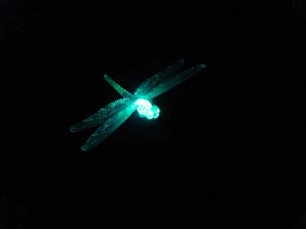 Solar Dragonfly by lellie