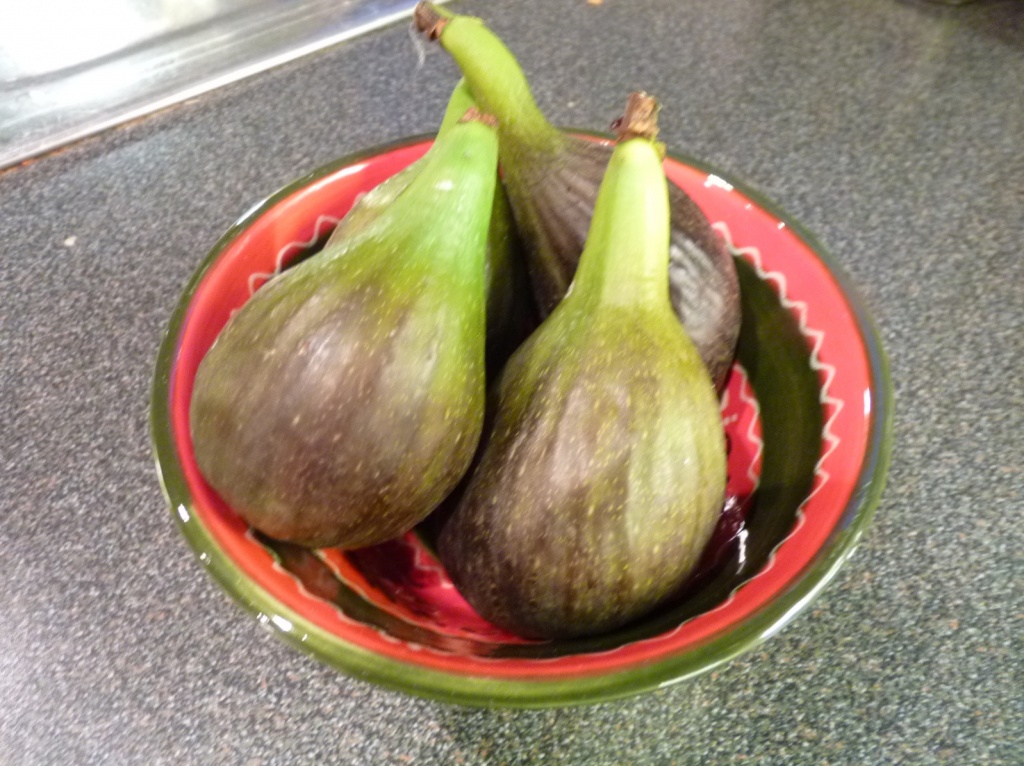 Figs from the garden by lellie