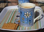 15th Sep 2011 - Tea and Biscuits