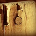 Detail of Vintage Apple Crate by glimpses