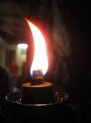 16th May 2010 - Flame