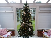 13th Dec 2011 - 2nd Tree