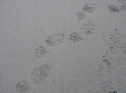 18th Nov 2011 - My Footprints