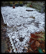 16th Dec 2011 - Our first snow!
