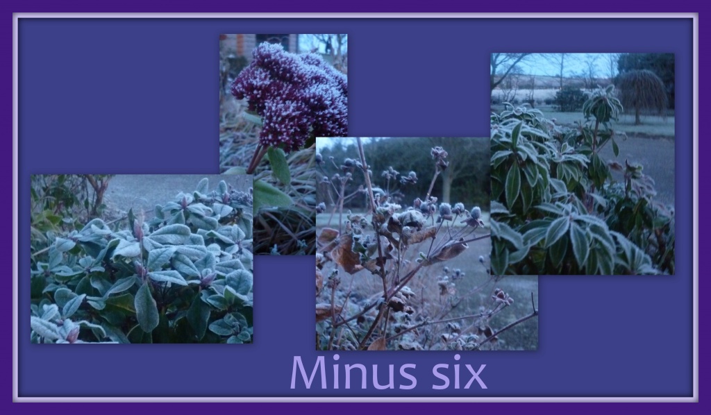 Minus Six by sarah19
